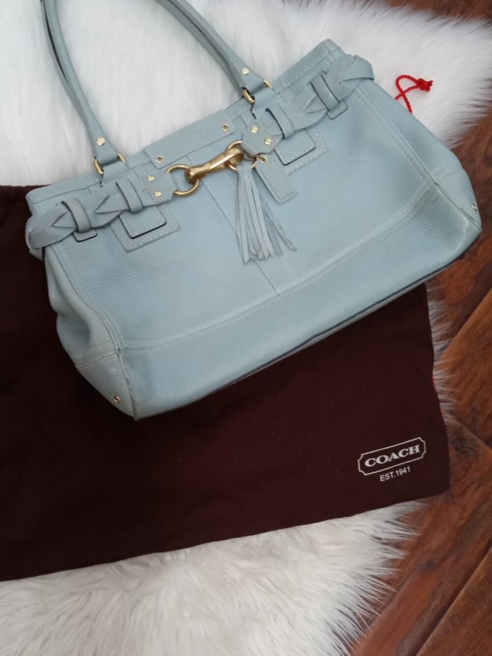 Rare Coach Baby Blue Hamptons Medium Carryall Purse with Dust Bag - Picture 13 of 15